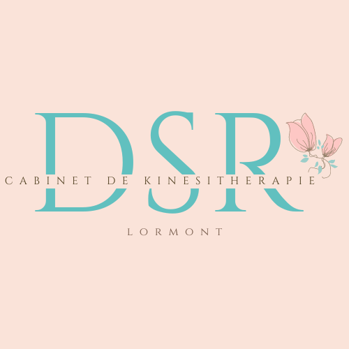 LOGO DSR